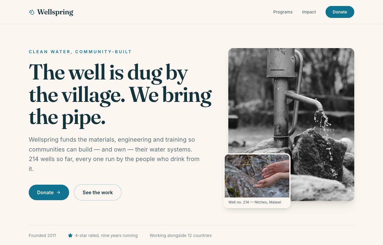 Wellspring — Nonprofit & charity preview